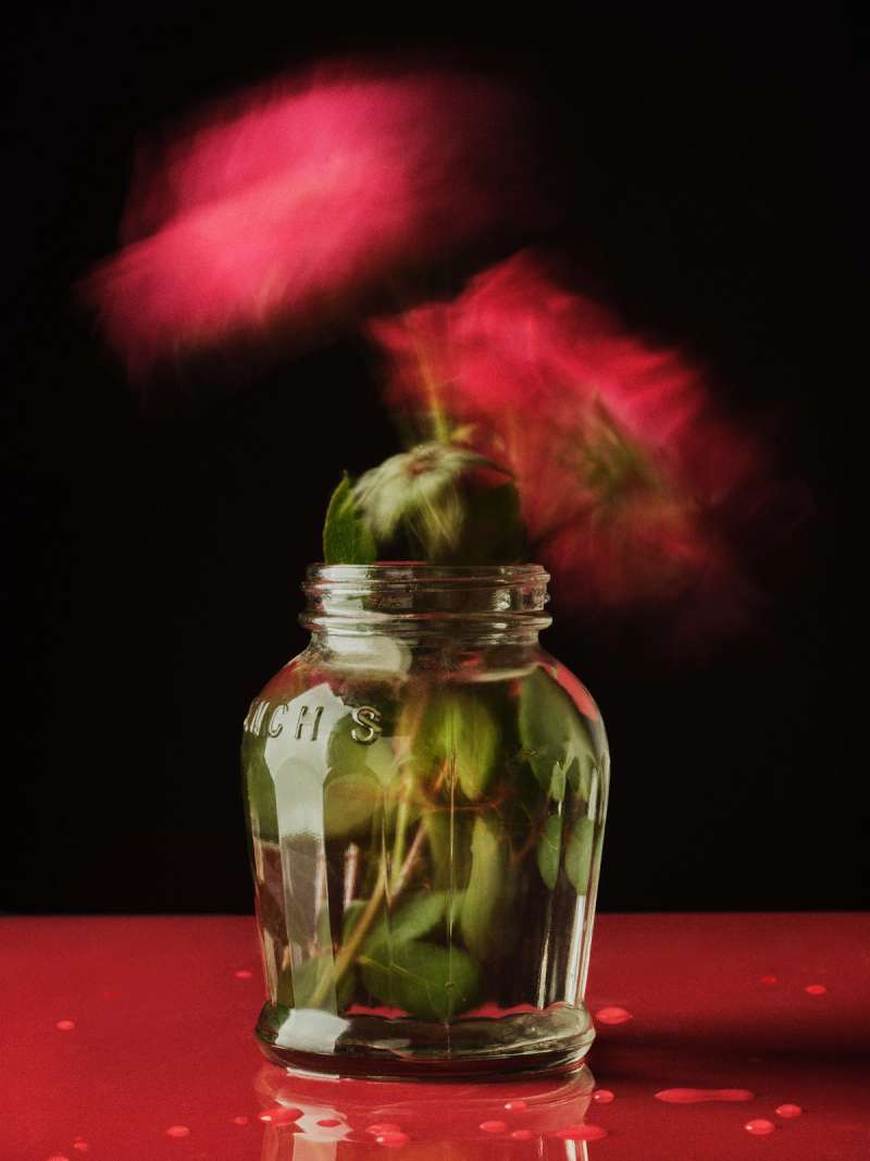 Still life photograph by Samuel Bristow