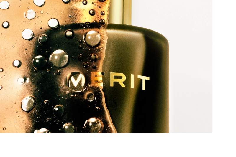 MERIT 2