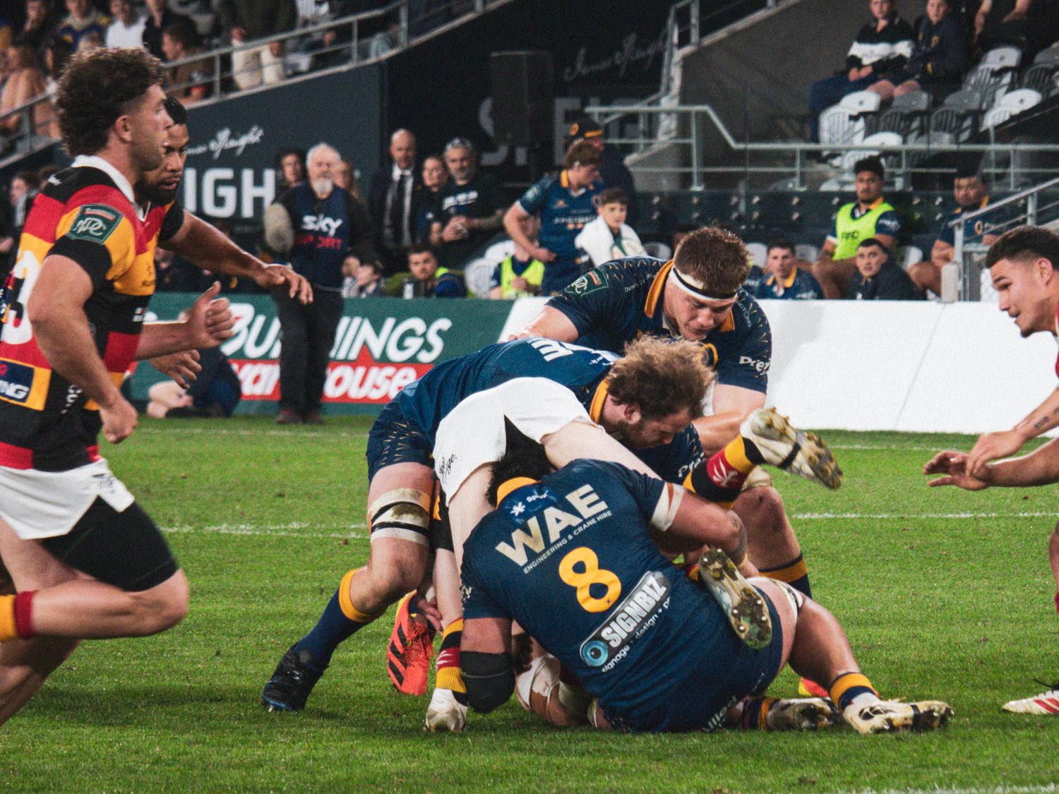 Otago v Wellington