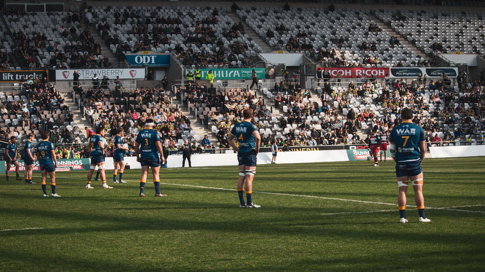Otago v Wellington