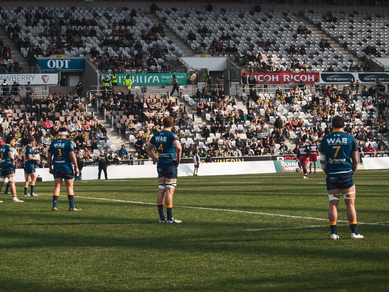Otago v Wellington