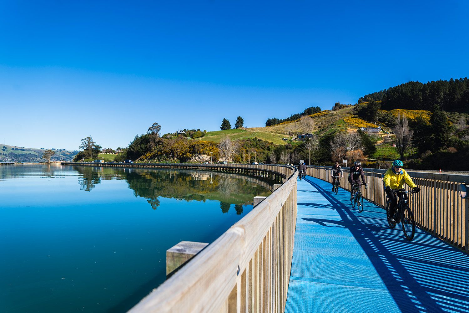 People biking on one of Dunedin's bike trails
