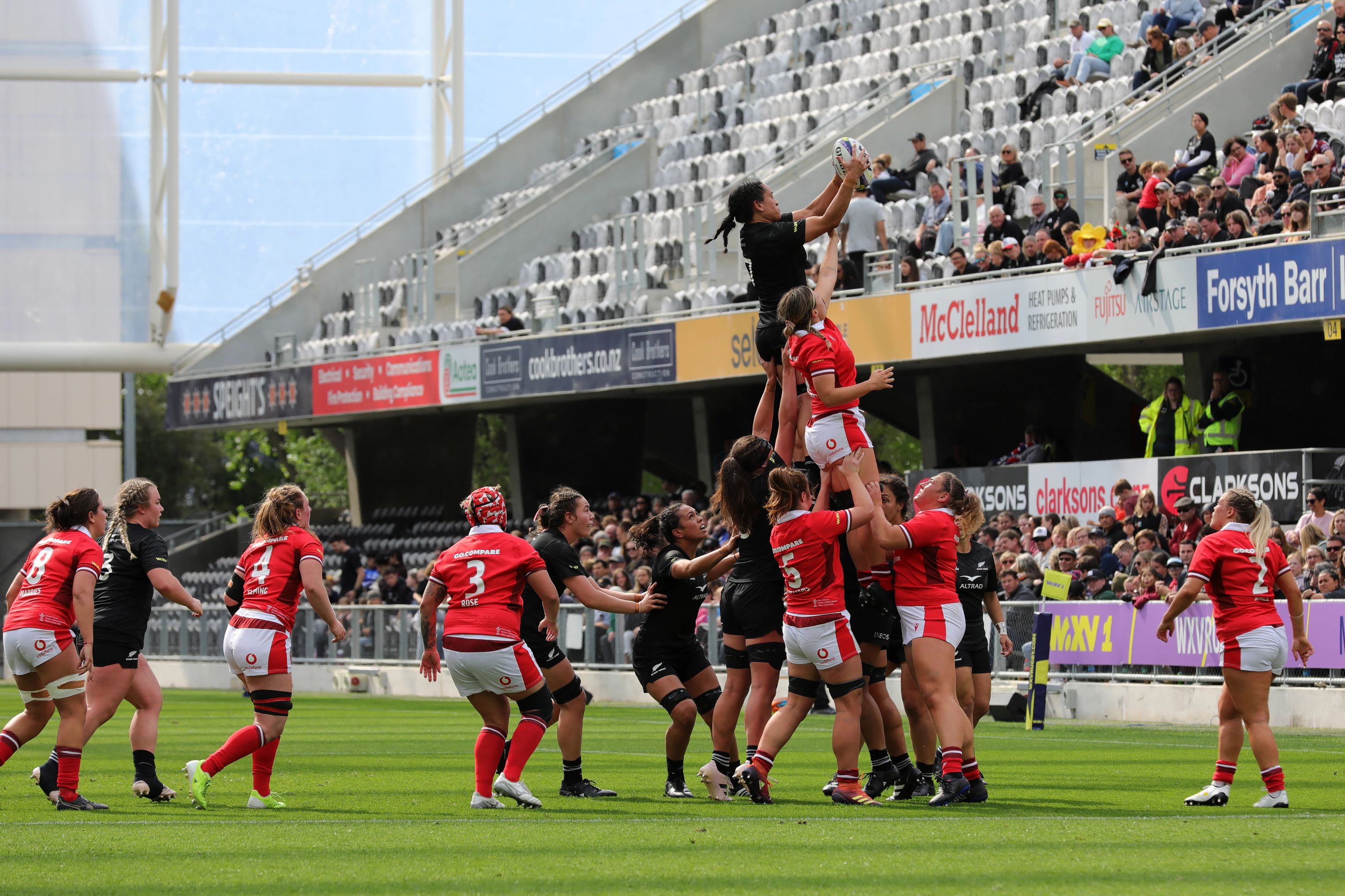 Rugby