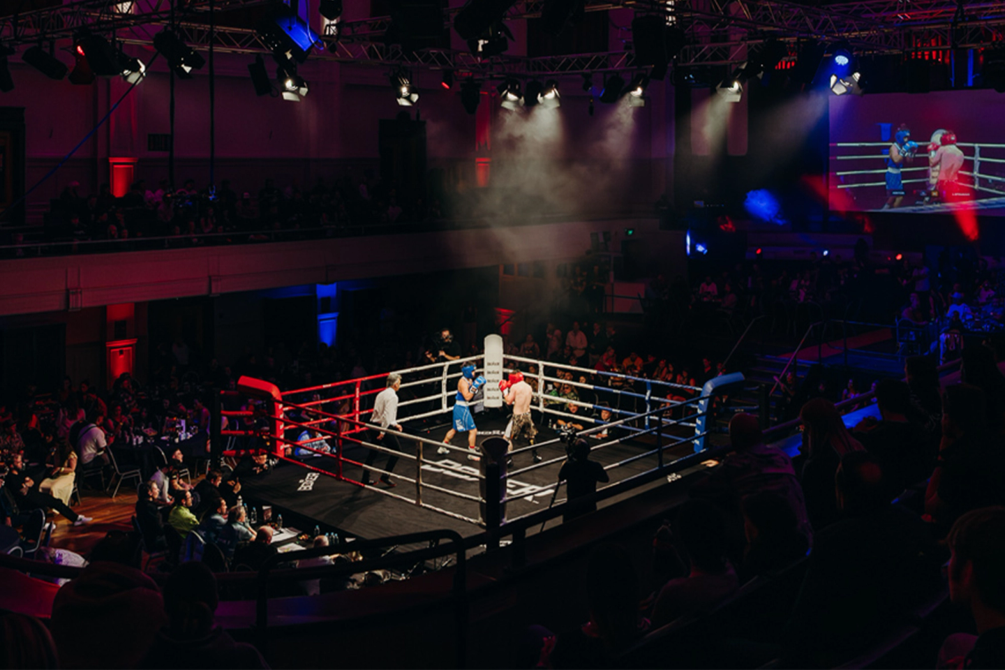 Punch with Purpose 7