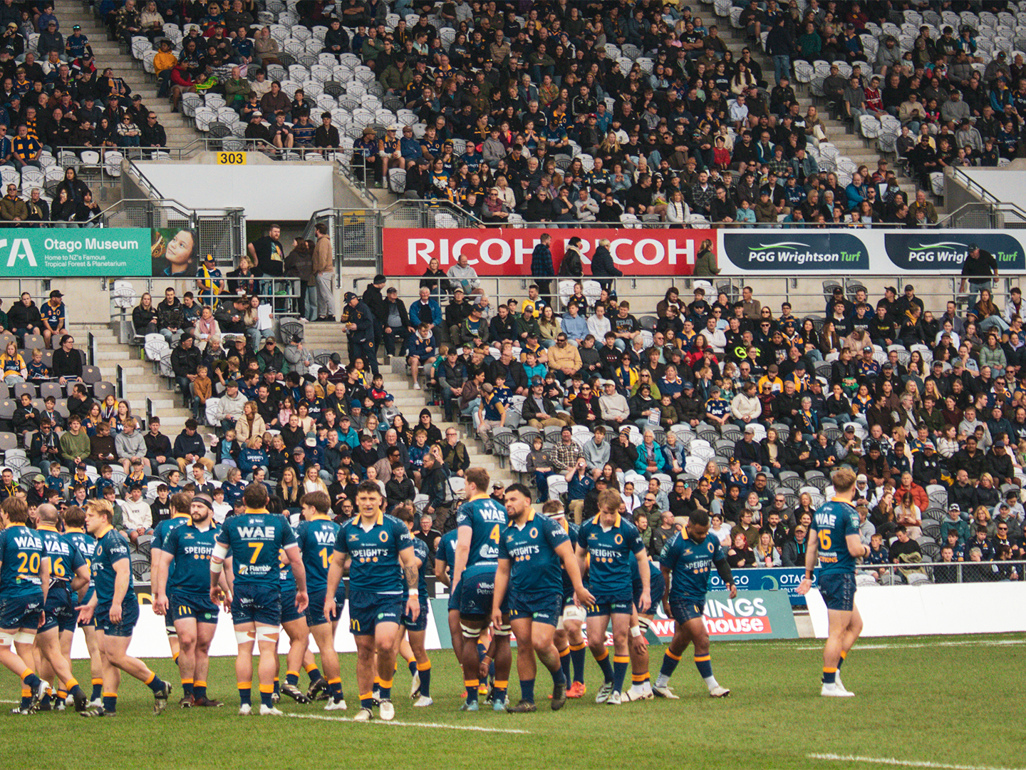 Otago v Wellington