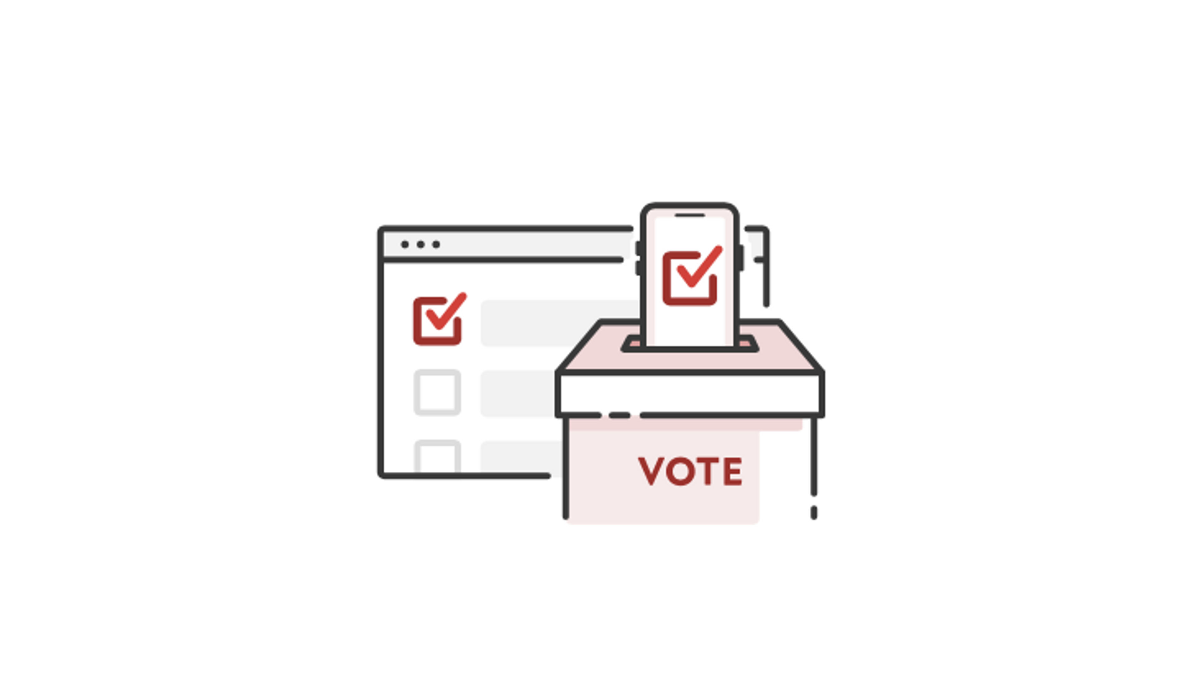 Cover Image for The Voting Process