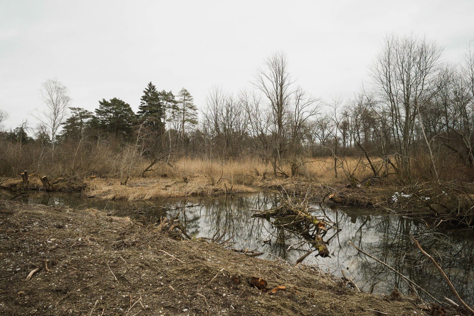 Teaser Pic for Potenzialstudie Aare