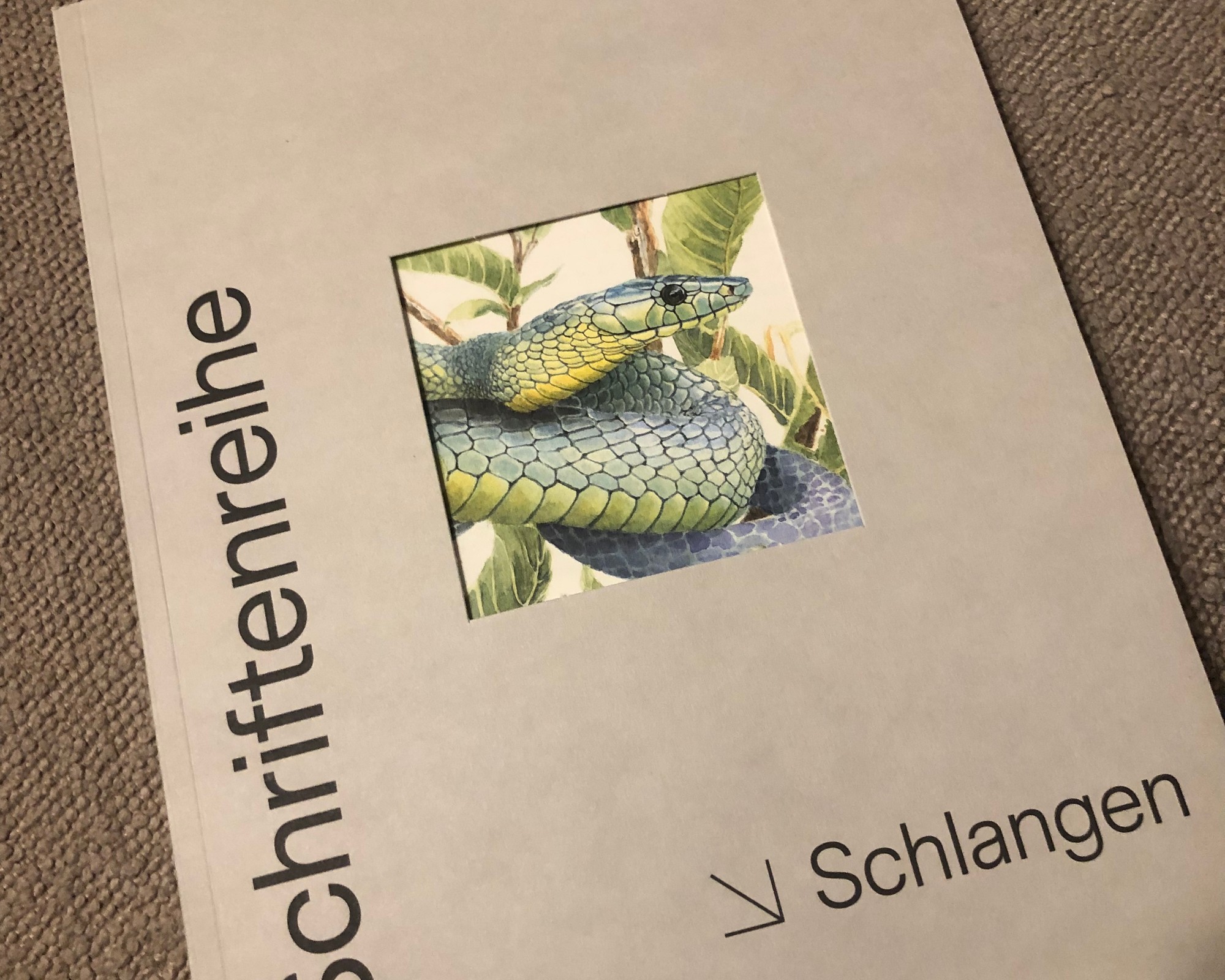 Teaser Pic for Schlangen!