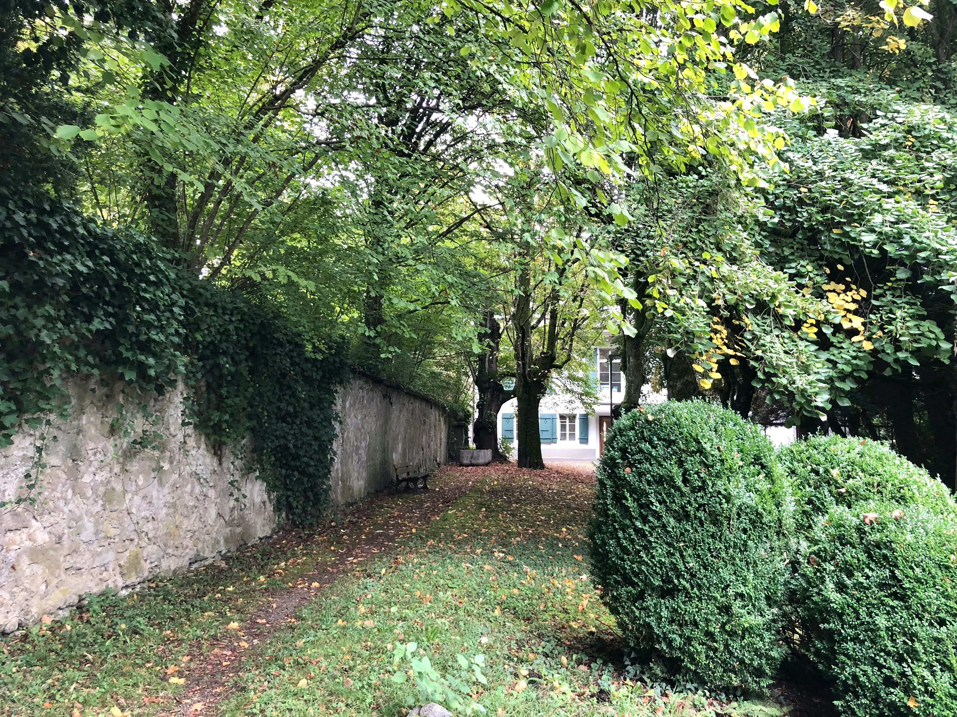 Teaser Pic for Naturwerte im Ziegler-Areal