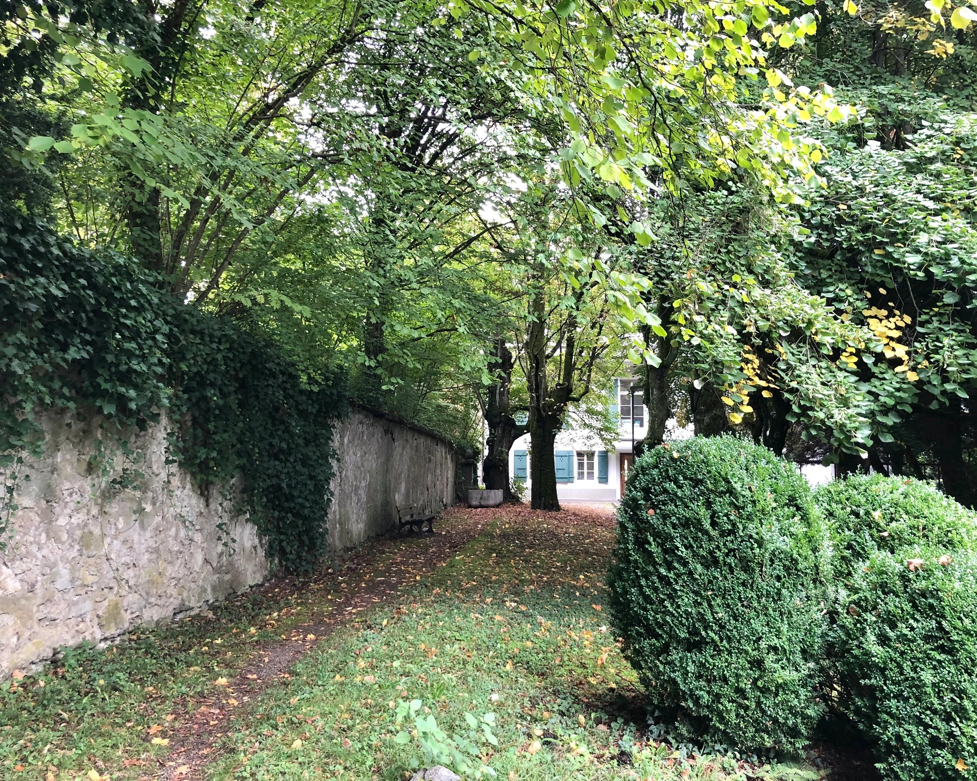 Teaser Pic for Naturwerte im Ziegler-Areal