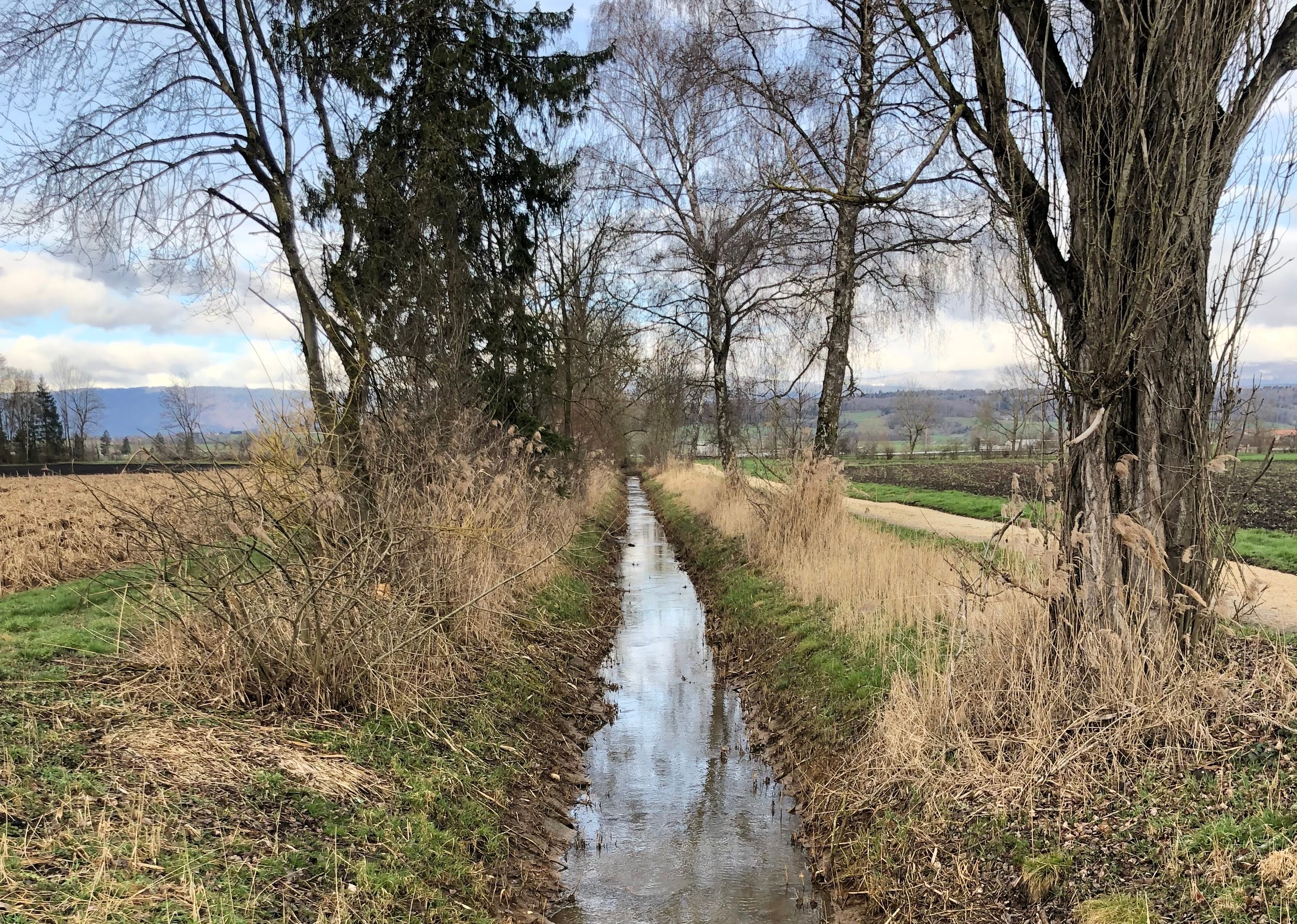 Teaser Pic for Sanierung Brästengraben: Partizipativer Prozess