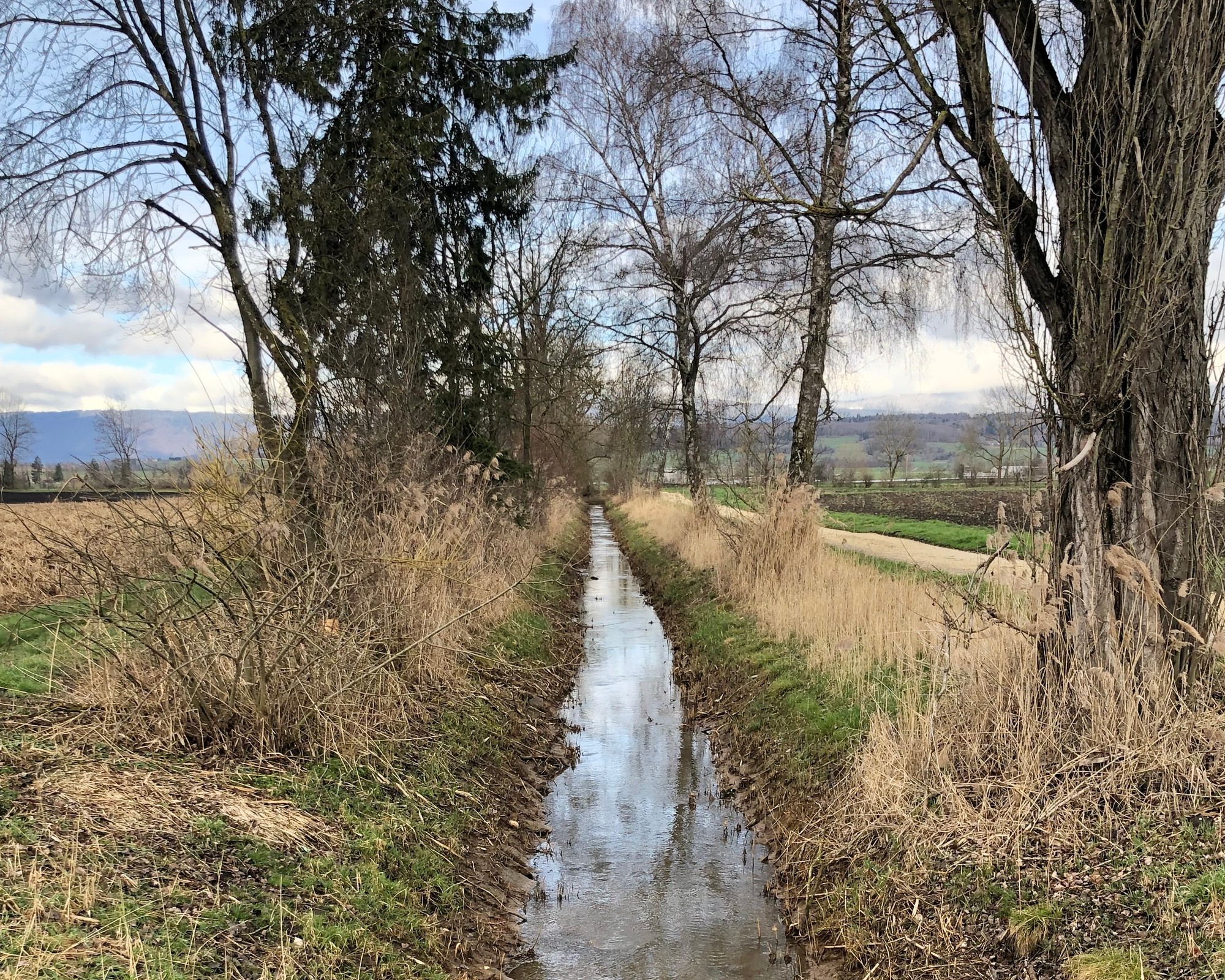 Teaser Pic for Sanierung Brästengraben: Partizipativer Prozess