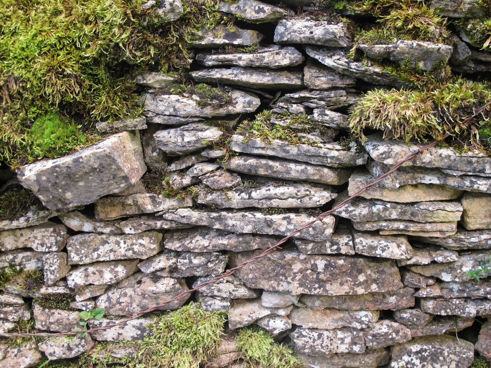 Teaser Pic for Das grosse Buch der Trockenmauern 