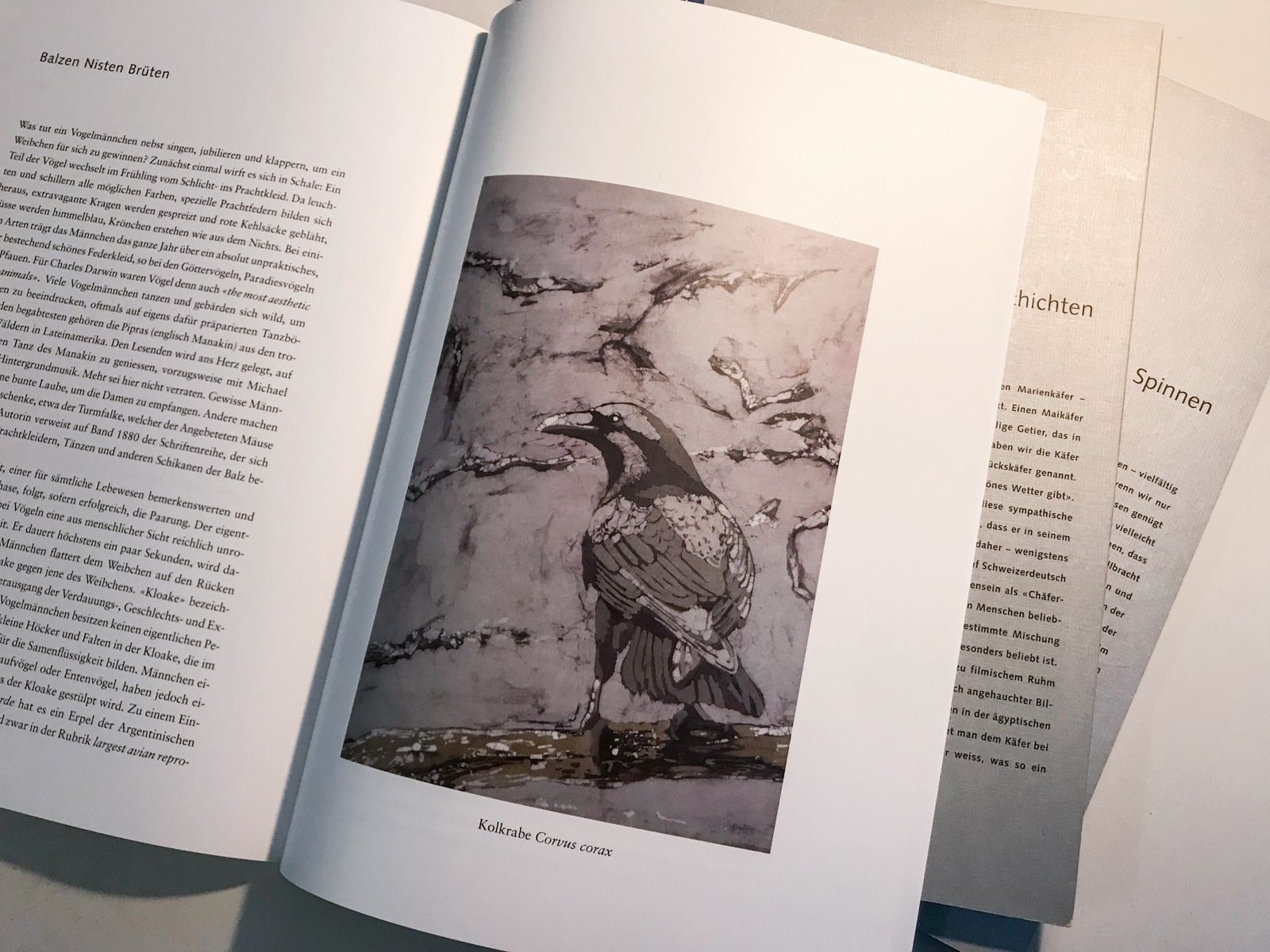 Teaser Pic for Essays