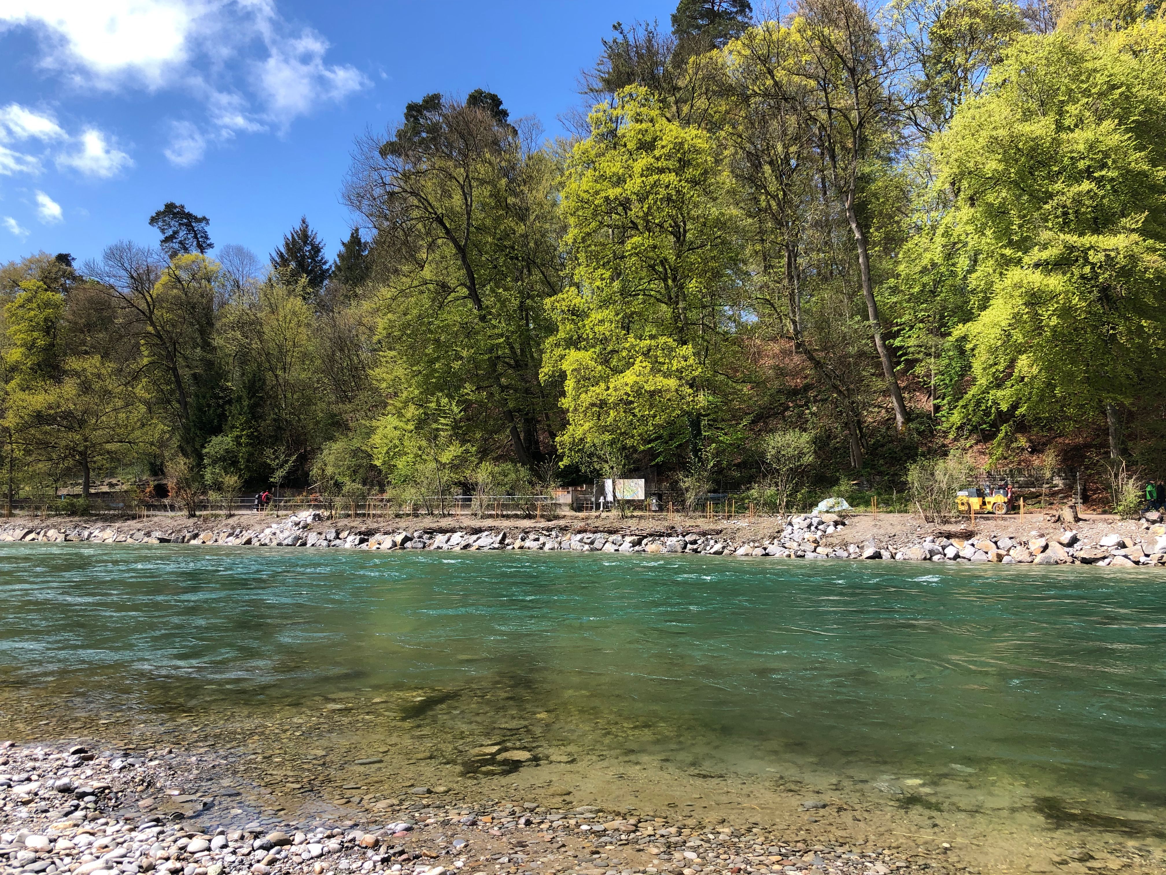 Teaser Pic for Ufersicherung Aare Eichholz-Dählhölzli - UBB