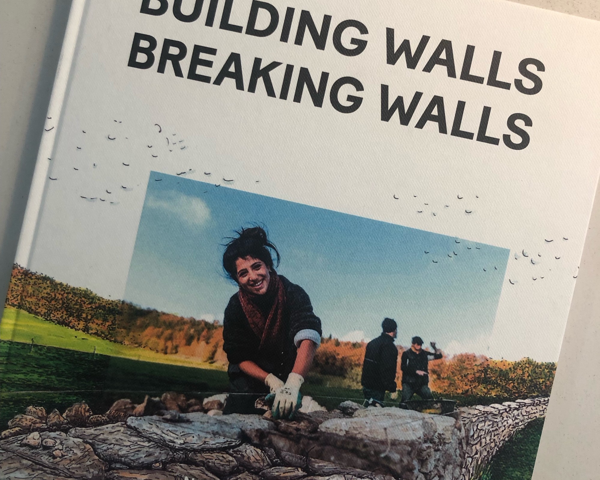 Teaser Pic for Building Walls Breaking Walls