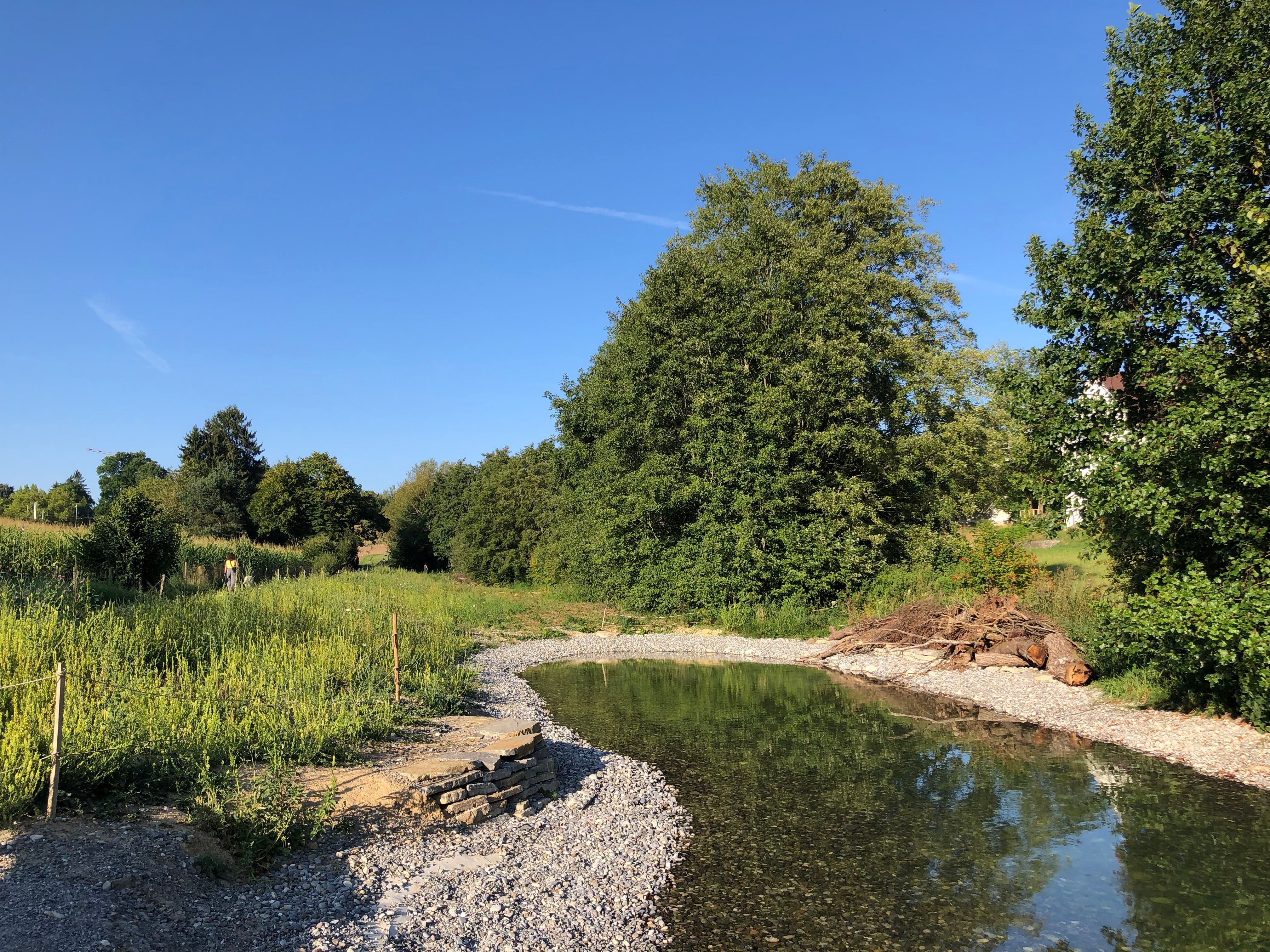 Teaser Pic for Ersatzmassnahmen im Wyssloch Bern