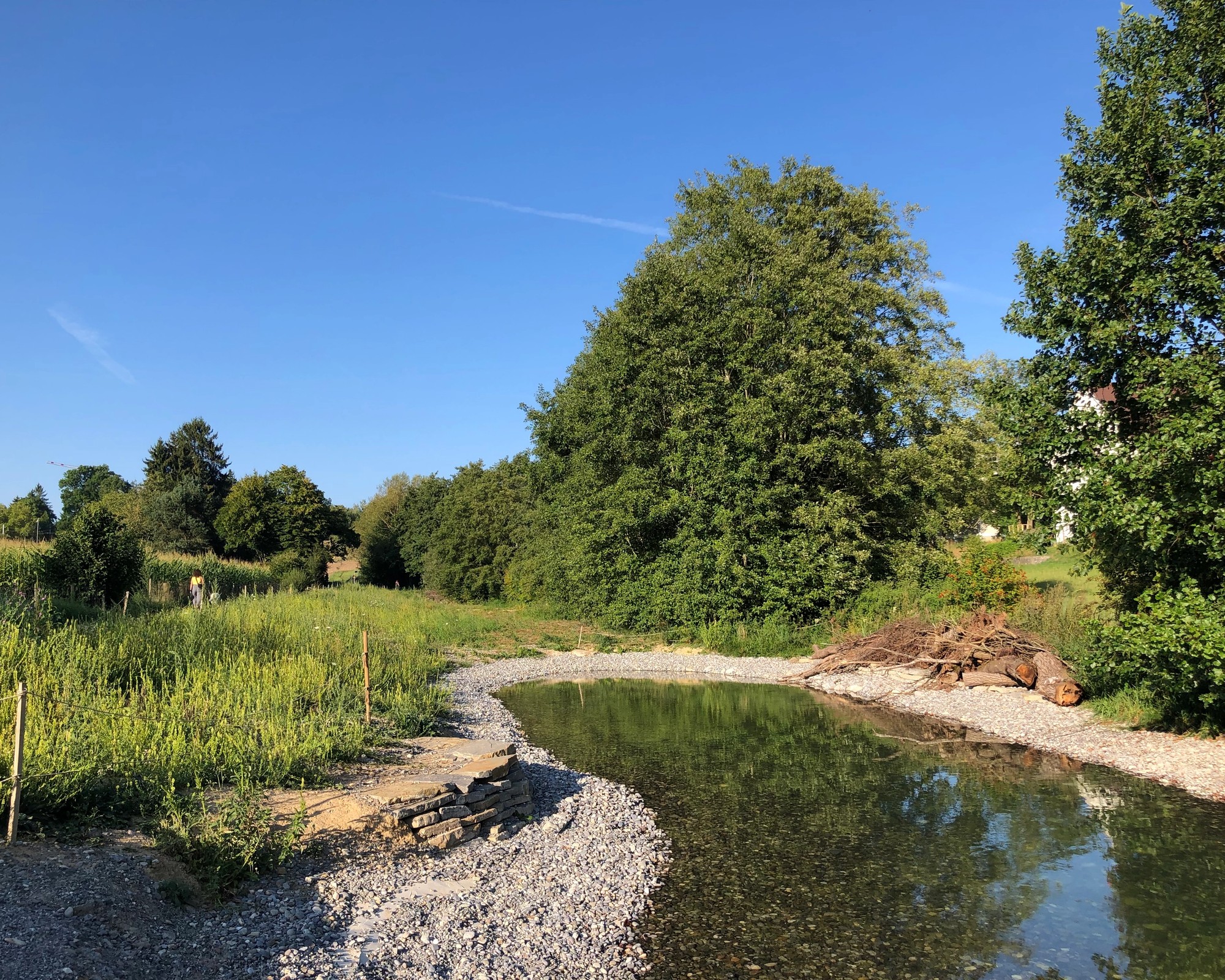 Teaser Pic for Ersatzmassnahmen im Wyssloch Bern