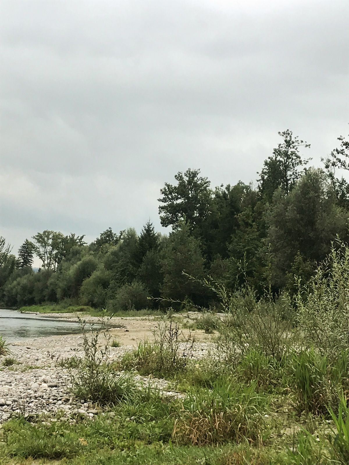 Teaser Pic for Nachhaltiger Hochwasserschutz Aare