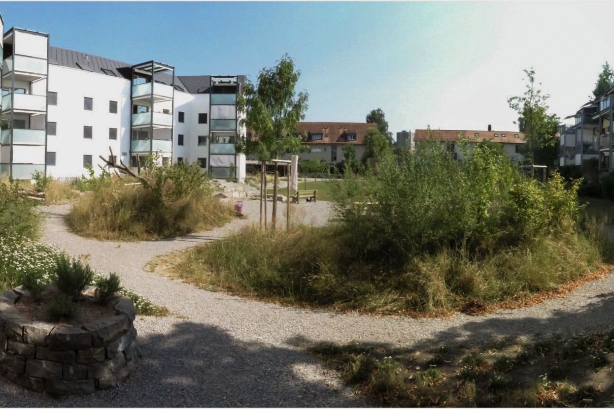 Teaser Pic for Pilotprojekt Fröschmatt