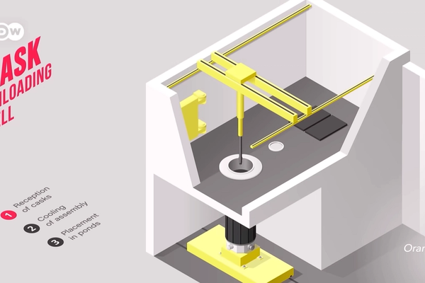 Horse, Beautiful Horse