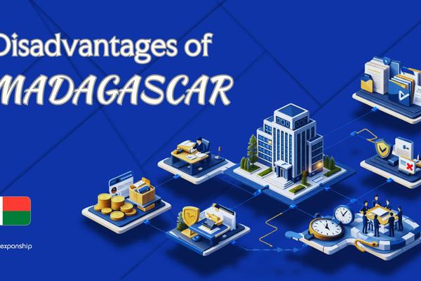 Disadvantages of Incorporating in Madagascar | Full Guide