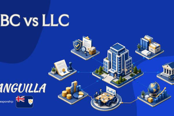 Anguilla IBC vs LLC: How to Choose the Right Vehicle