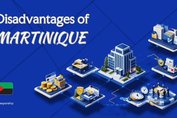 Drawbacks of Setting Up a Company in Martinique | Explained
