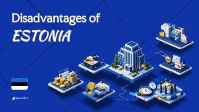 Cons of Incorporating in Estonia | What Founders Should Know