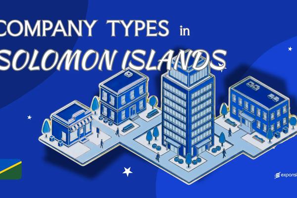 Types of Companies in Solomon Islands | 9 Entities Explained