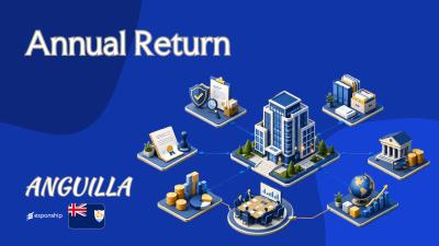 Filing the Annual Return in Anguilla | What to Know