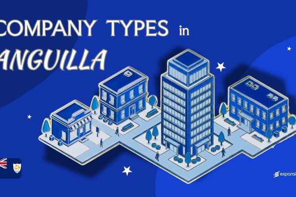 Types of Companies in Anguilla | IBC, LLC & More Explained