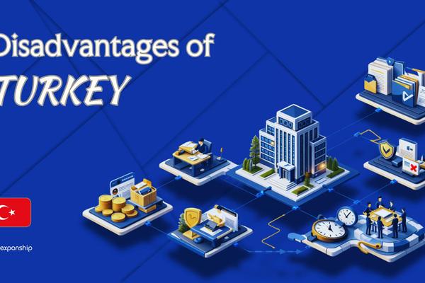 Cons of Incorporating in Turkey | Key Drawbacks Explained