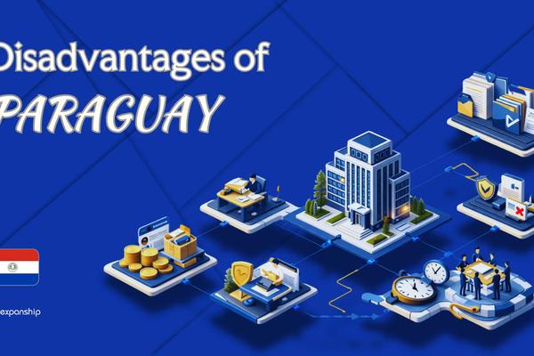 Disadvantages of Incorporating in Paraguay | 8 Drawbacks