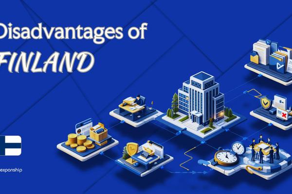 Disadvantages of Incorporating in Finland | Key Drawbacks