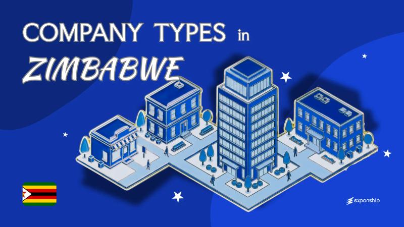 Company Types in Zimbabwe | 10 Business Structures Explained