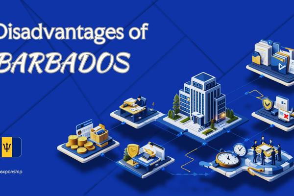 Cons of Incorporating in Barbados | Key Drawbacks Explained