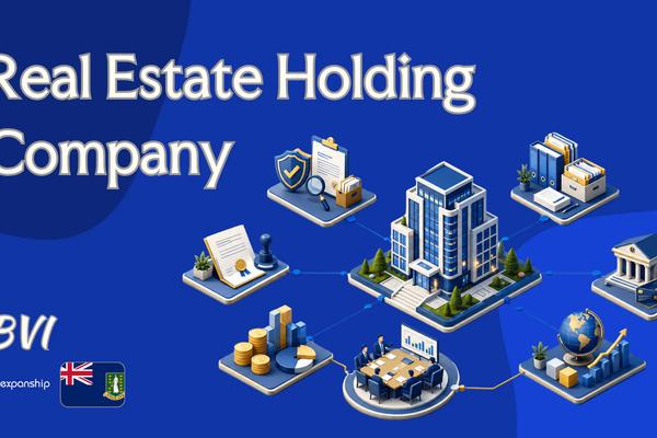 BVI Real Estate Holding Company: A Guide for Owners