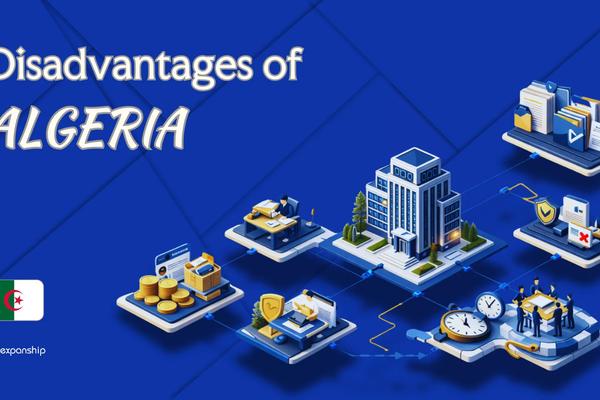 Cons of Incorporating in Algeria | Key Drawbacks Explained
