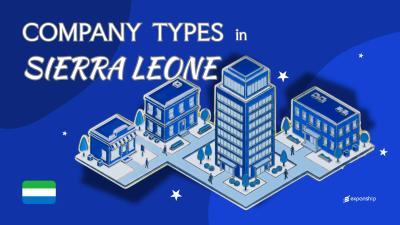 Types of Companies in Sierra Leone | 10 Entities Compared