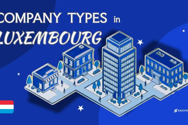Types of Companies in Luxembourg | 10 Structures Explained