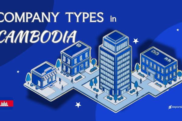 Types of Companies in Cambodia | Structures, Liability & Tax