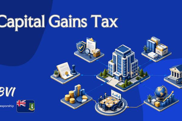 Capital Gains Tax in British Virgin Islands | Explained
