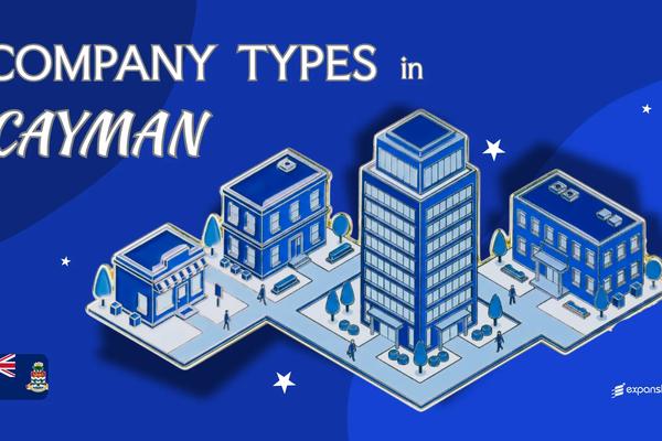 Types of Companies in Cayman Islands | Full Structure Guide