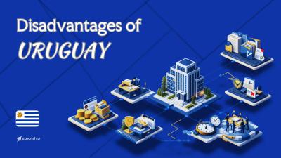 Cons of Incorporating in Uruguay | 7 Drawbacks Explained