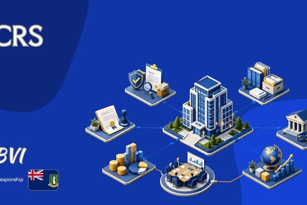 BVI CRS Compliance: BVIFARS Portal and Due Diligence