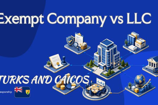 Exempt Company vs LLC: Choosing in Turks and Caicos
