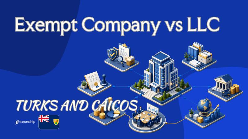 Exempt Company vs LLC: Choosing in Turks and Caicos
