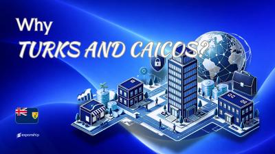Benefits of Incorporating in Turks and Caicos Explained