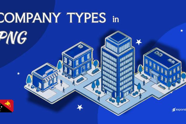 Company Types in Papua New Guinea | Full Structure Breakdown